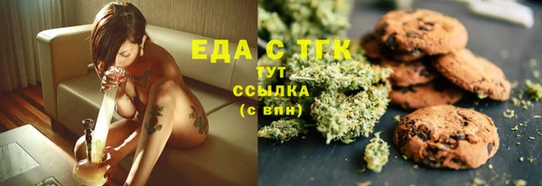 индика Кинешма