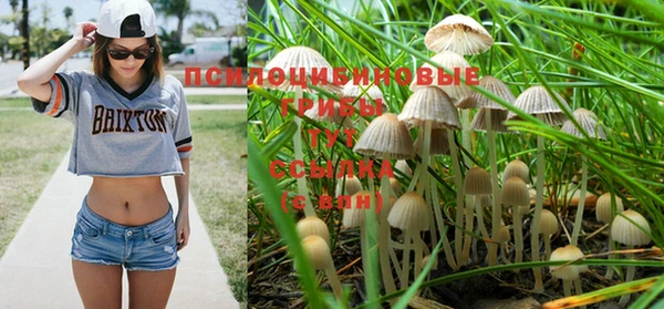 индика Киренск