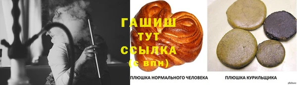 индика Кинешма