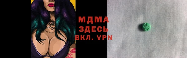 индика Кинешма